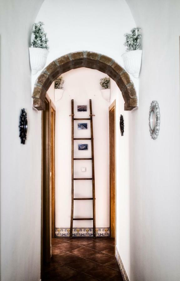 Casa Vitoria Guest House Эвора Экстерьер фото
